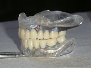 Ganzheitliche Zahnmedizin